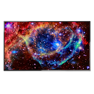 NEC MultiSync V554Q PG